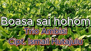 Download lagu Boasa sai hohom - Trio Ambisi - Cipt. Ismail Hutajulu mp3