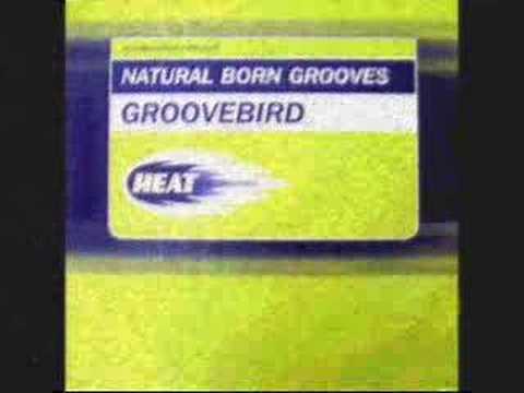 Natural Born Grooves - Groovebird (Baby blue mix)