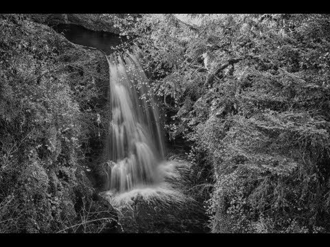 11102017 «« VLOG#021 «« THURSTON COUNTY «« JOELNICOLAS