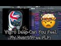 Vigro Deep-Can you feel my heart(FREE FLP)