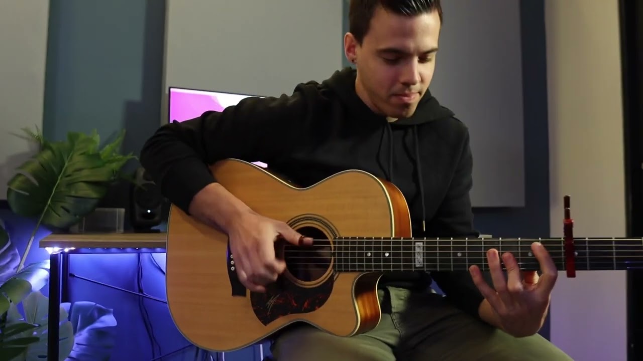 Promotional video thumbnail 2 for Lenny Pallerstein Guitar
