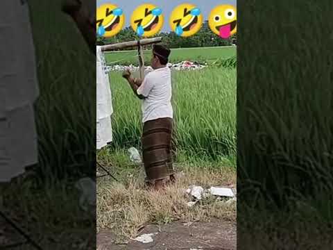 Butuh hiburan? Cek video lucu ini yang siap bikin ngakak sampai perut sakit! 😂🐱