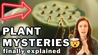 Plants Are Secretly Doing THIS — Cozy Garden Science Chat