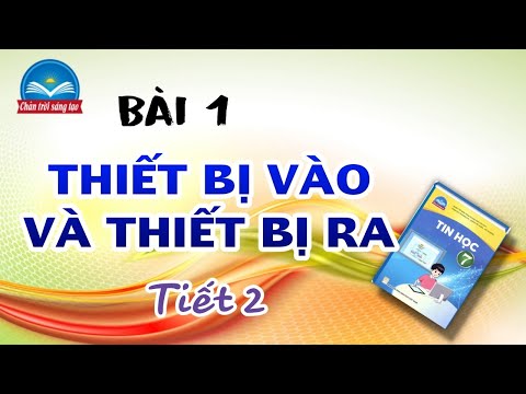 TIN HỌC 7 CHÂN TRỜI SÁNG TẠO || BÀI 1 (Tiết 2)