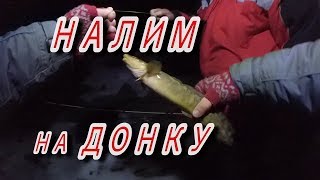 На что можно ловить налима кроме червя