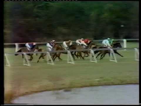 1983 Swallow Handicap Chase