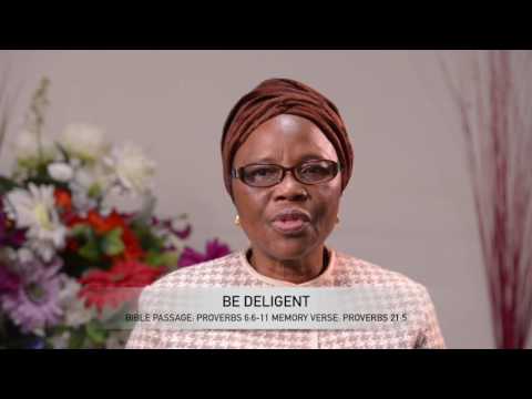Open Heavens Reflections 25 December 2016 - Be Diligent