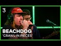 Beachdog live met 'Crawl In Pieces' | 3FM Live Box | NPO 3FM