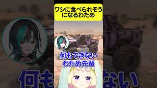 ワシに食べられそうになるわため【角巻わため/ホロライブ切り抜き】#Shorts