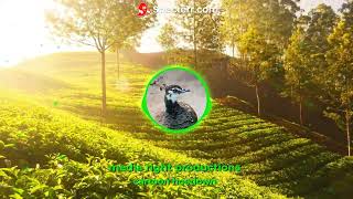 Download lagu Cartoon Hoedown - Media Right Productions (no copyright music) mp3