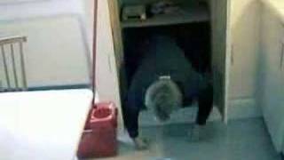 Gustav and Georg are     inside my head, di-rect