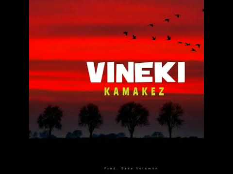 Vineki(2022)Kamakez ft. Baka Solomon(Baka Solomon Music🇸🇧)Star-q-Playlist