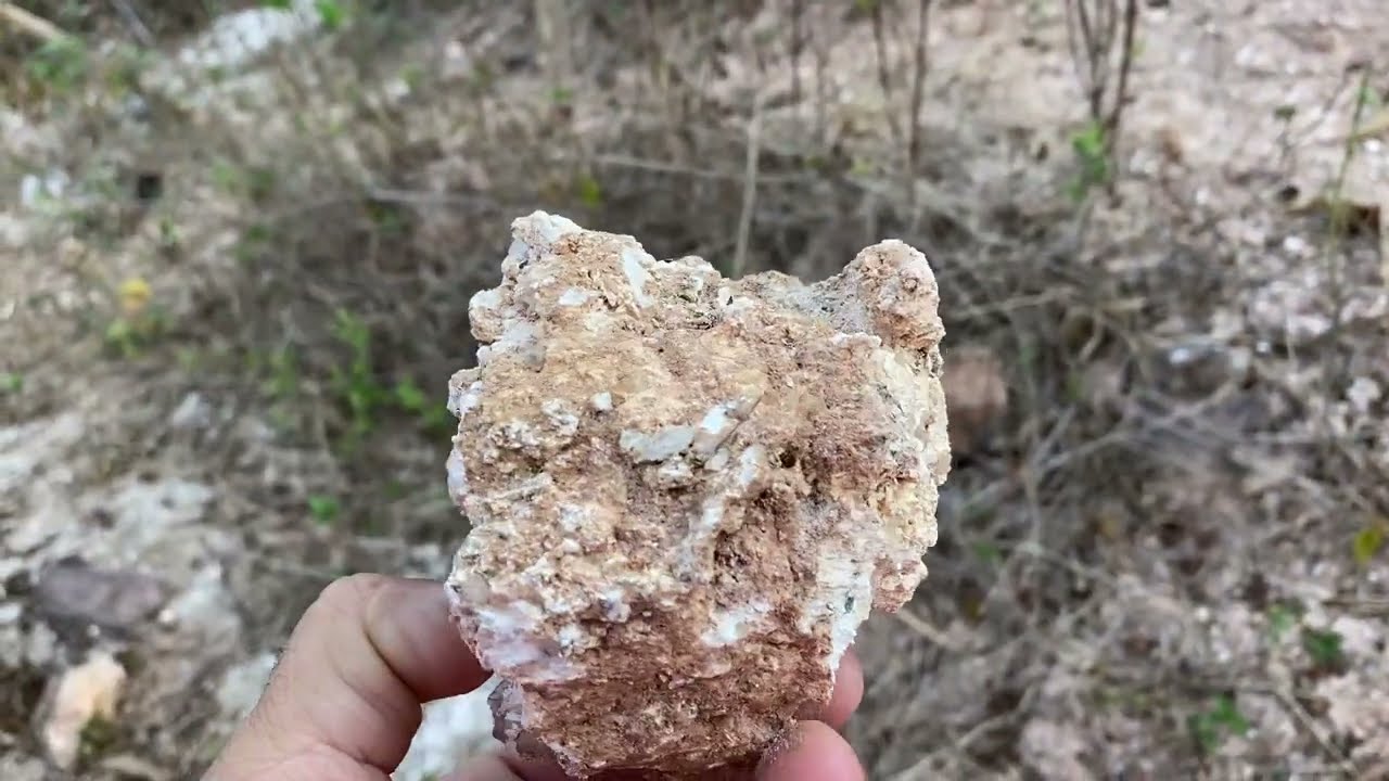 Gilberto Gil Garimpo mostrando mais uma área da mineração Bom Pastor antiga Terra Branca