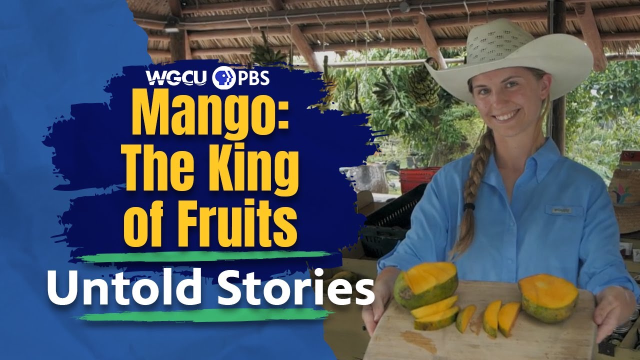 Mango: The King of Fruits | Untold Stories