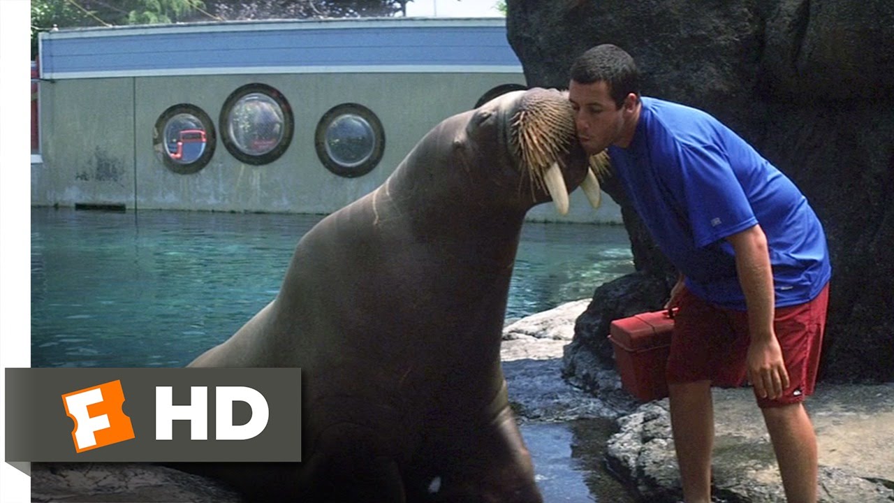 Bon Voyage Henry - 50 First Dates (7/8) Movie CLIP (2004) HD