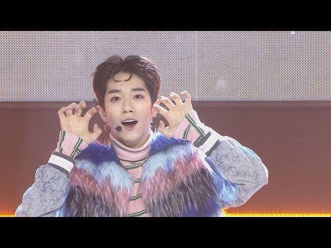 Show Champion EP.255 TRCNG - WOLF BABY [티알씨엔지 – 울프 베이비]