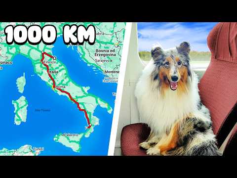 DOG on HOLIDAY: Travel 1000km by Train 🐶