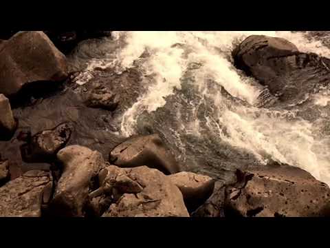 Psaikozet - Analog Life