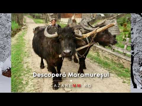 COAS Maramures, Viziteaza Coas, Cazare, Pensiuni   CazareMM