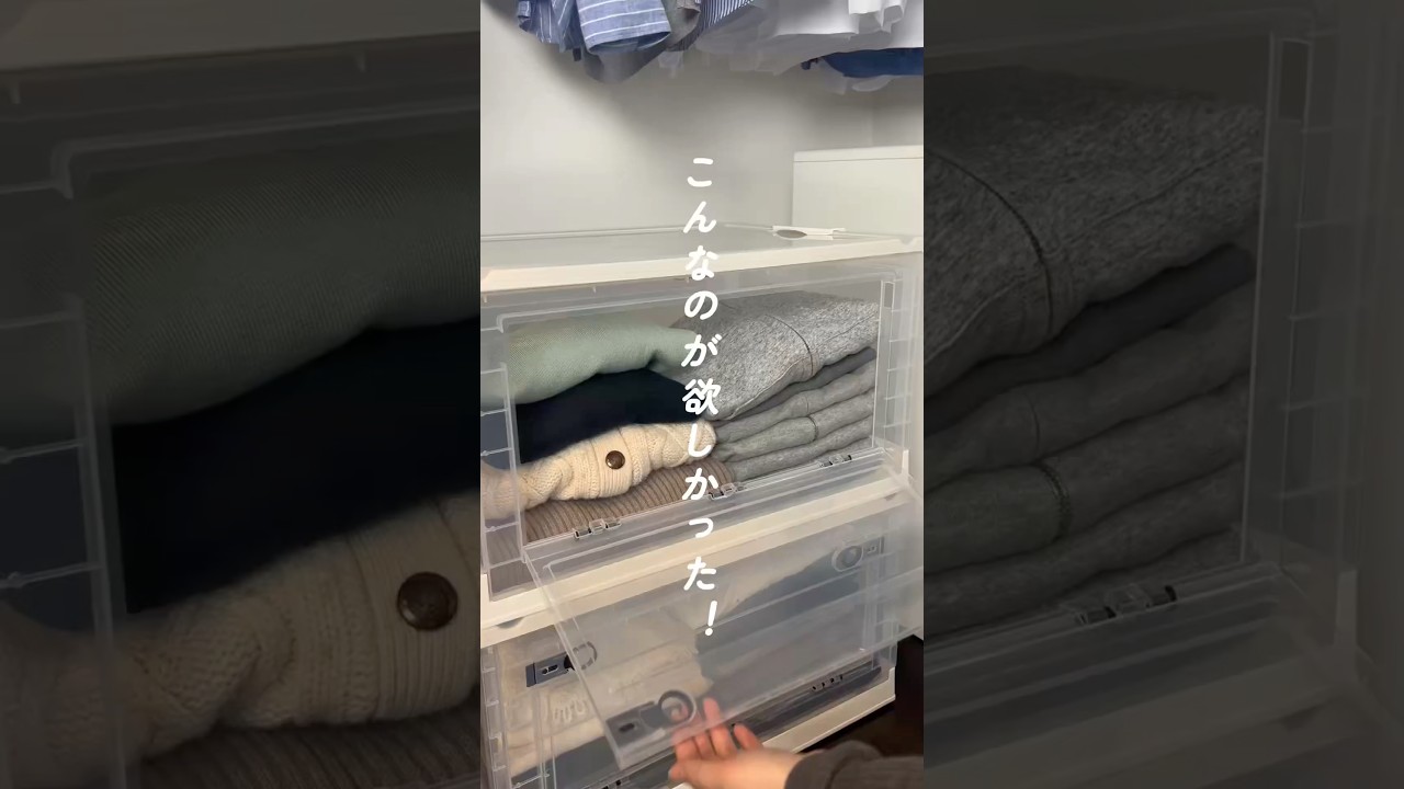 ≪こんなのが欲しかった！！≫