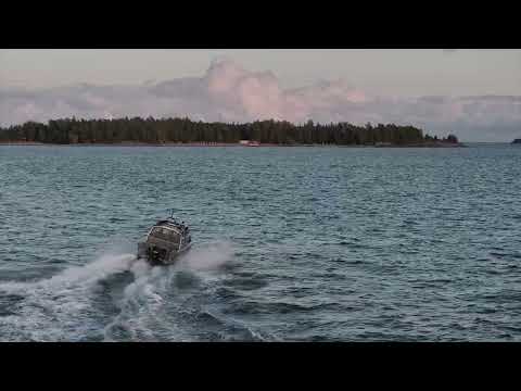 Arronet 24 5 Surprise L