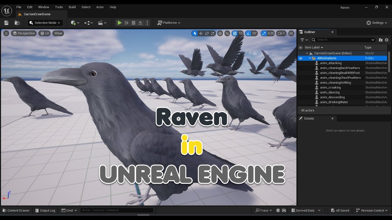 Corvo animato realistico Modello 3D