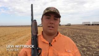 A Dove-Hunting Tradition