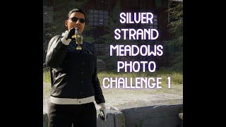 Updated Silver Strand Meadows Photo Challenge 1