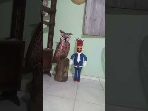 a coruja é o pica pau  de pneus Ilha Grande do Piauí