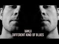 IAMJJ - Different Kind Of Blues (official video)