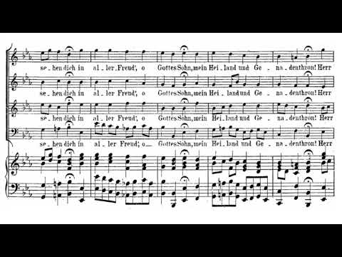 Bach: St. John passion - 40. Ach Herr, laß dein lieb Engelein - Jacobs