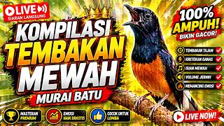 Download lagu MURAI BATU GACOR FULL ISIAN TEMBAKAN MEWAH AMPUH MELATIH MURAI BATU EMOSI BONGKAR ISIAN mp3