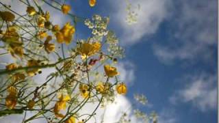 CC Cowboys - Er det ikke sprøtt