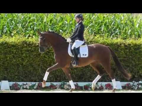 26 Be my Lady  Stute v. Bretton Woods - FürstHeinrich