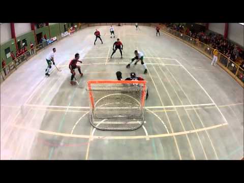 RSC Darmstadt vs. SKG Herringen - 15.03.14 - 1. Rollhockey Bundesliga