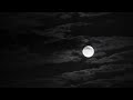 TESSA 1 HOUR STEVE JABLONSKY QUIET TIME MUSIC WITH NATURE