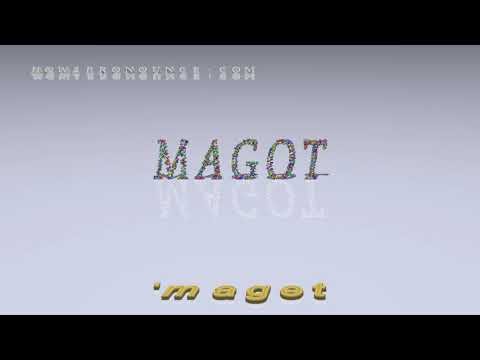 magot - pronunciation
