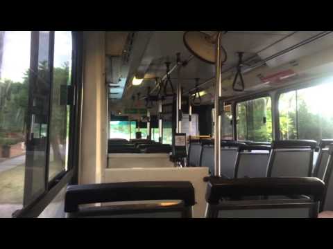 Transperth TP1100 - Mercedes-Benz O405 CNG (W3E)