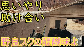 #20【PUBG】初野良スクワッド・ドン勝！ソロ以上の嬉しさ【PLAYERUNKNOWN'S BATTLEGROUNDS】