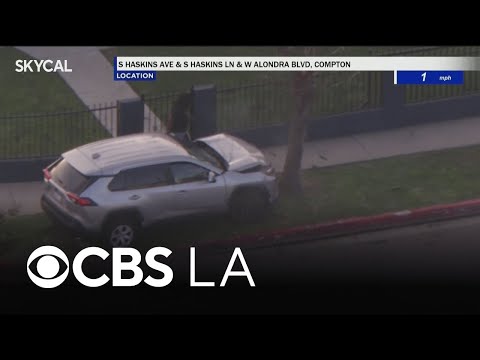 Pursuit with grand theft auto suspect ends with crash into Compton tree