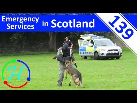 Police Dog Demonstration - Fettes Police Open Day - Ep.139 - Emergency Services in Scotland