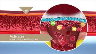 Product video: QuikClot EMS Dressings