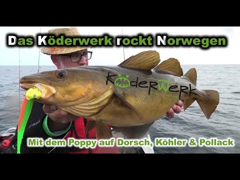 Das Köderwerk rockt Norwegen - Mit Gummi auf Dorsch, Köhler & Pollack!