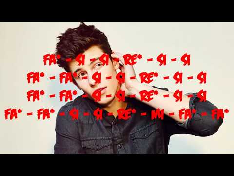 ■SHAWN MENDES - THERE'S NOTHING HOLDING ME BACK - EN FLAUTA DULCE - CON NOTAS■