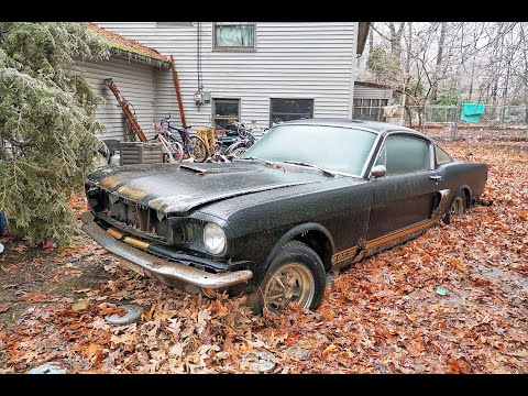 Thumbnail for Recovered: 1966 Shelby Mustang GT350H sunk in Ohio backyard 40 years by Shelby Mustang