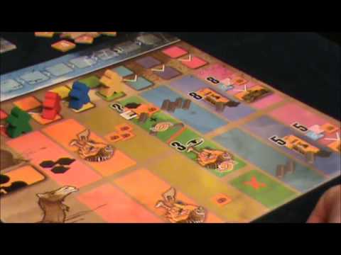 On Board the Good Ship Noah's Ark - BGB Review