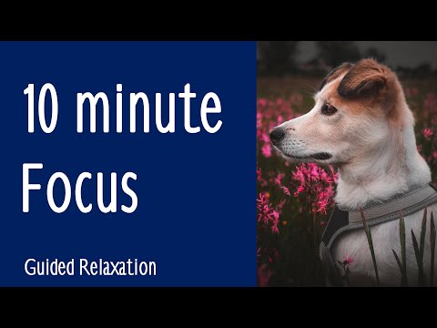 A quick pick you up guided relaxation