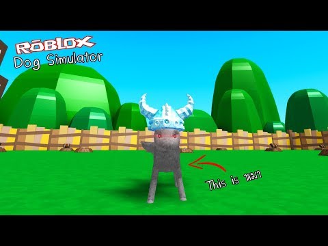 Roblox Dog Simulator จำลองการเปนหมา ทหนาตาไมเหมอนหมา - 