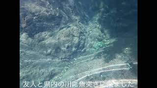 【魚突き】川でナマズを突いて食う