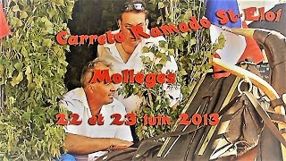 preview picture of video 'Mollégès - Pèlerinage et Carreto Ramado St Eloi -  22 juin 2013 et 23 juin 2013'